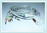 Siemens / Hellige 10 Lead EKG Cable with banana 4.0 3.6m AHA/IEC