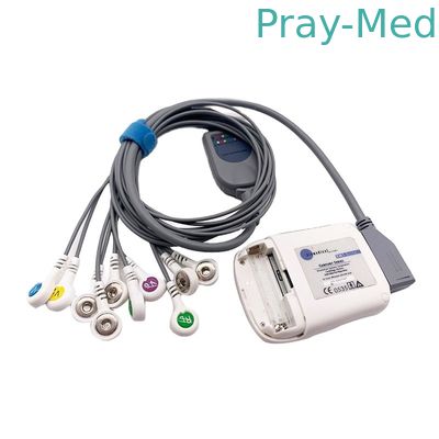 Borsam Holter Ecg Cable 10 Lead Grey 2m Compatible For Bs6930 BS6930-3
